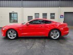 Thumbnail Photo 39 for 2021 Ford Mustang GT Premium